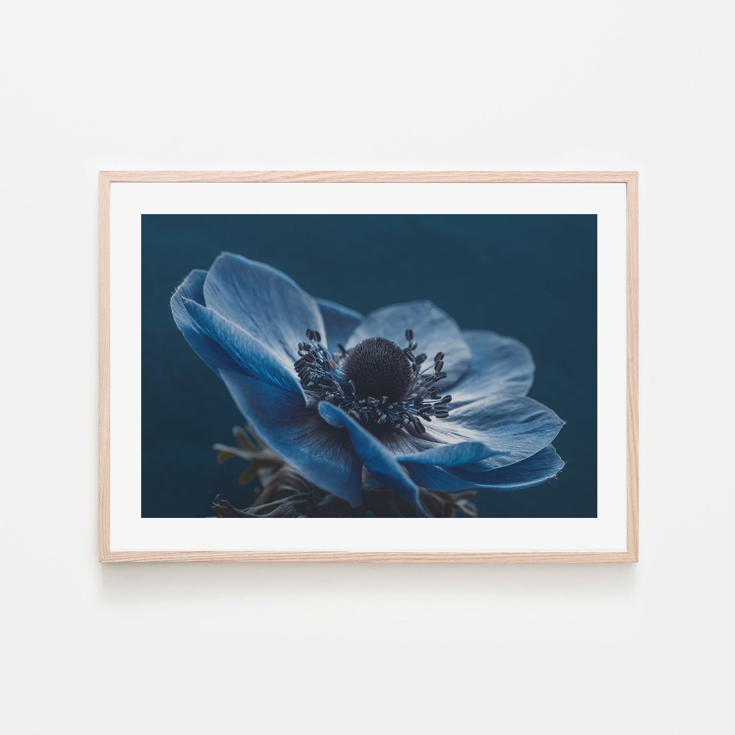 Windflower, by Mike Kreiten-Gioia-Prints-Framed-Canvas-Poster-GIOIA-WALL-ART