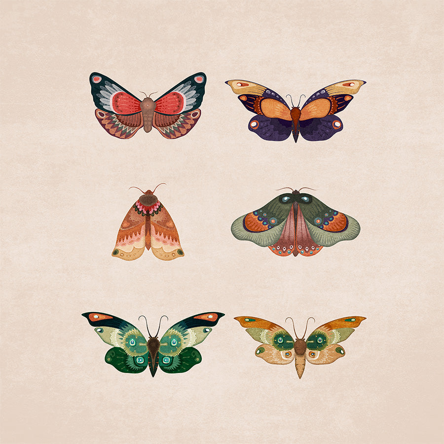 wall-art-print-canvas-poster-framed-Winged Elegance-1
