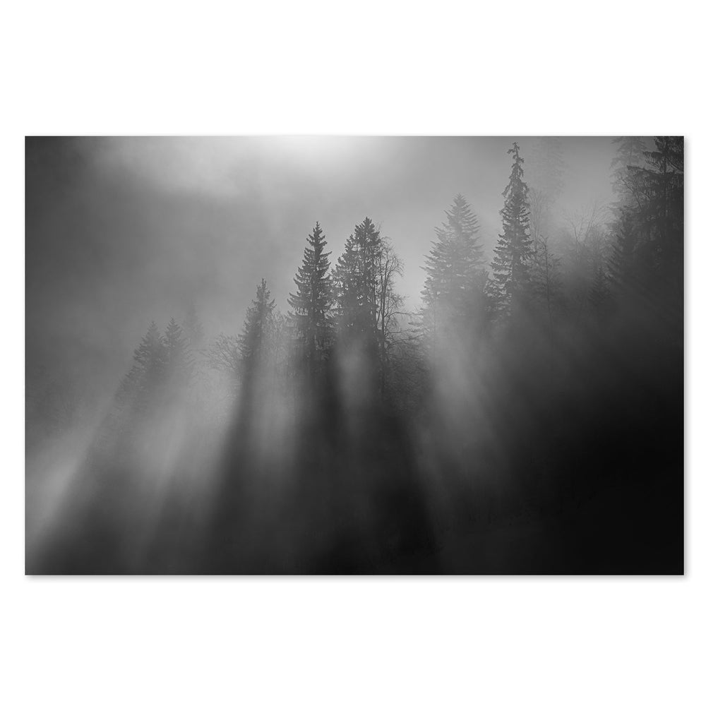 Wintersun, by Andy Dauer-Gioia-Prints-Framed-Canvas-Poster-GIOIA-WALL-ART