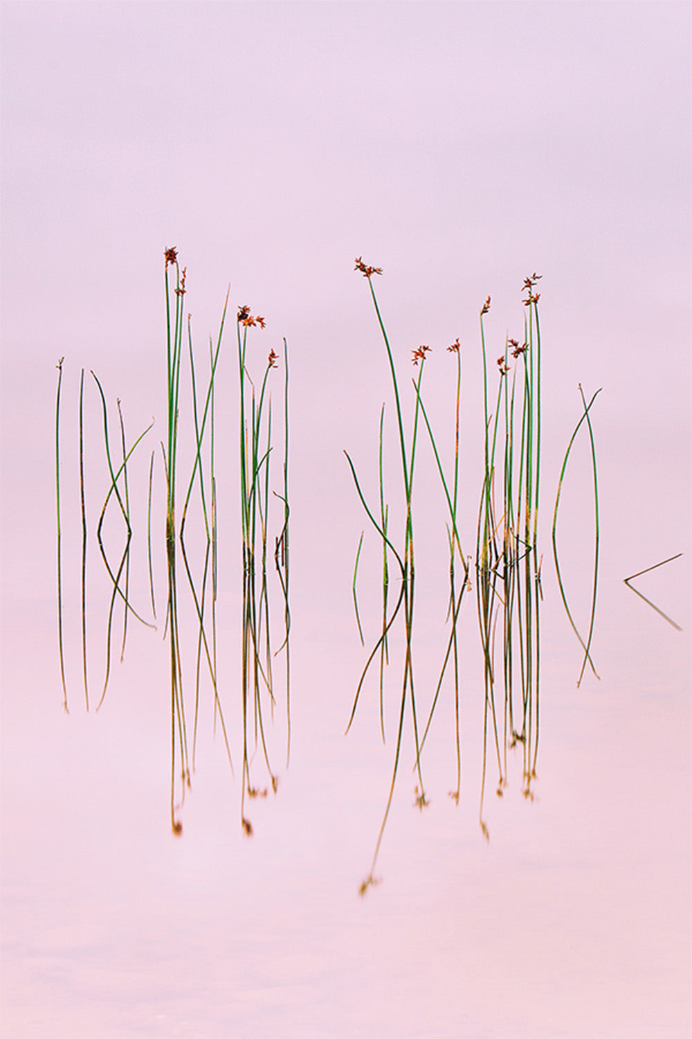 wall-art-print-canvas-poster-framed-Yan Zhang_775257-1