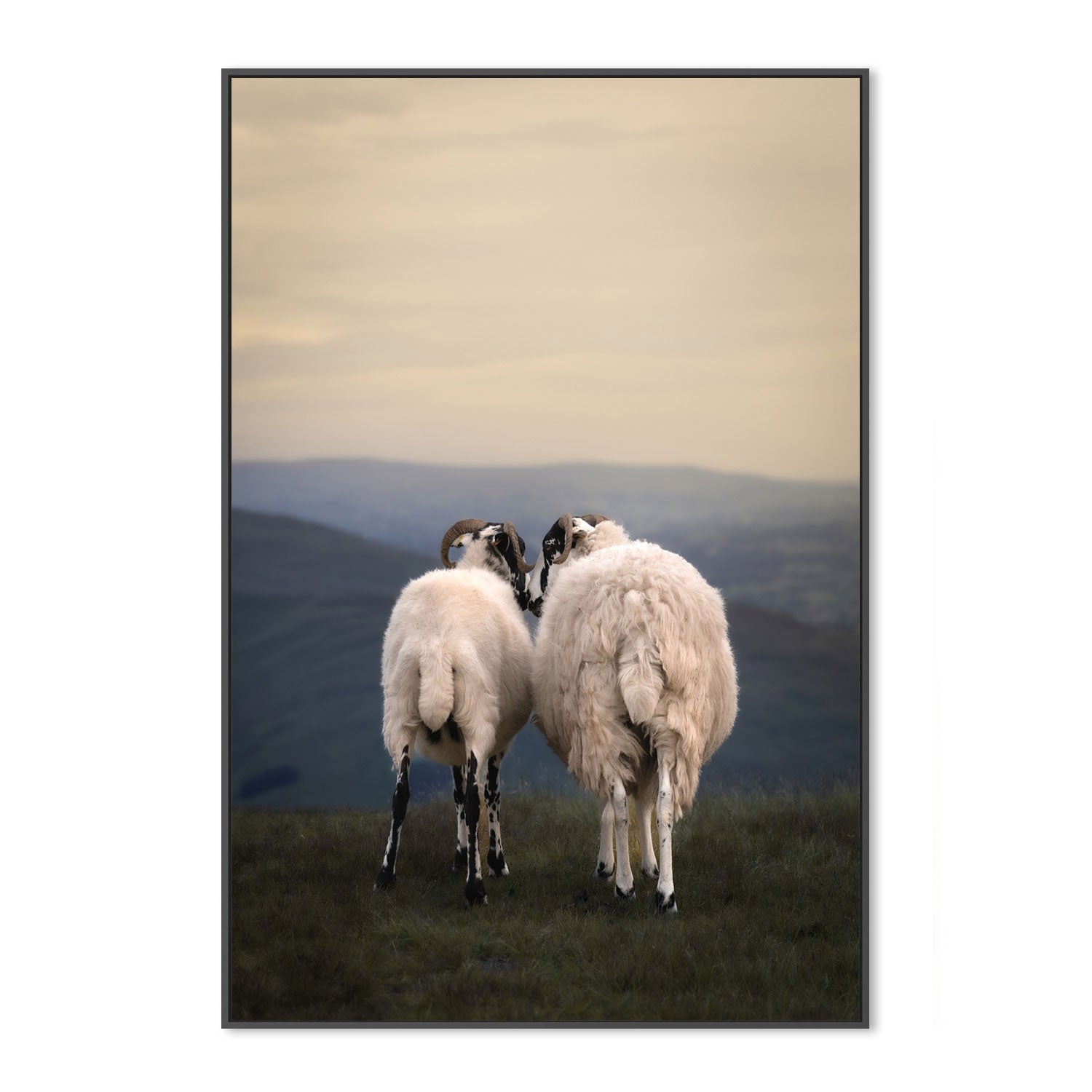 wall-art-print-canvas-poster-framed-Yorkshire Romance-GIOIA-WALL-ART