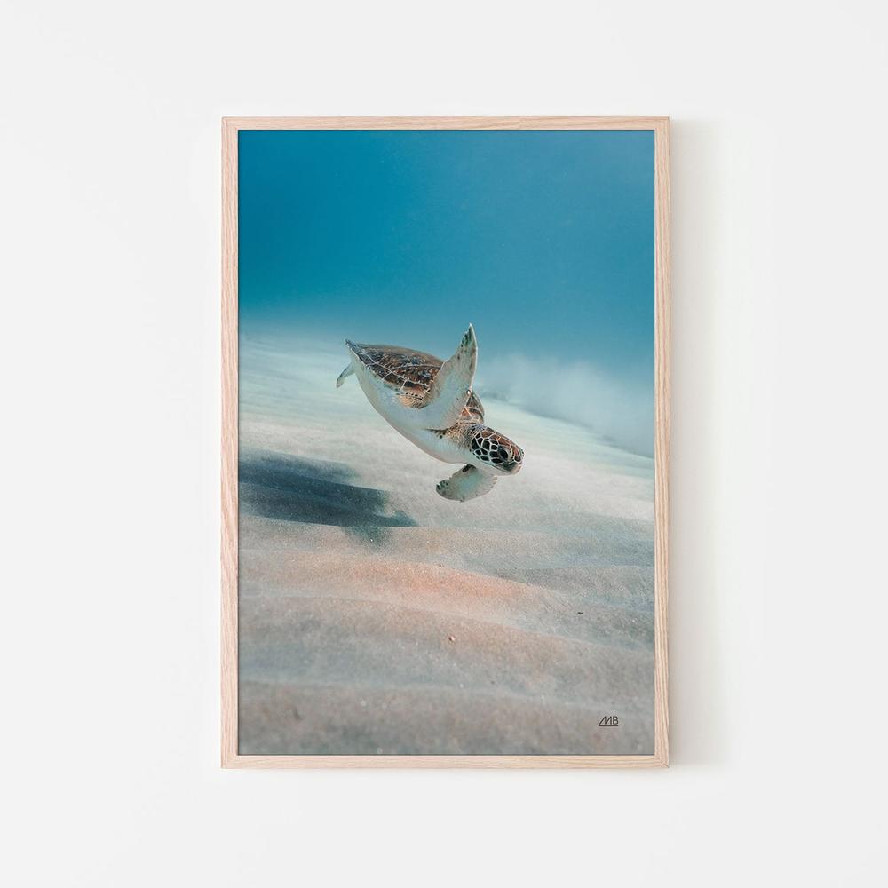 Wave Hello-by-Max Blakesberg Studios-wall-art-print-canvas-poster-framed-Gioia