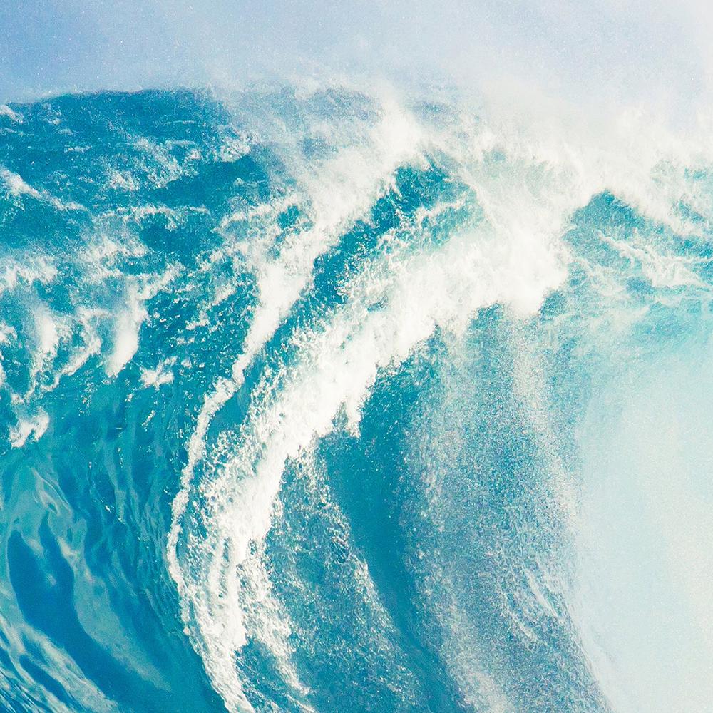 Wild Surf-by-Gal Pittel-wall-art-print-canvas-poster-framed-Gioia